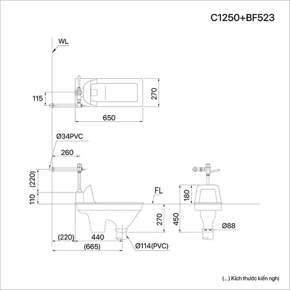 Bản vẽ kĩ thuật Bồn cầu xổm CAESAR C1250 BF523 bộ xả nhấn