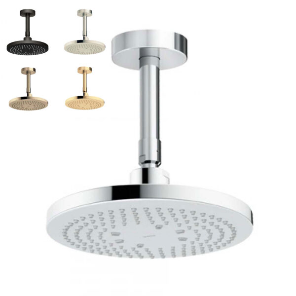 Bát sen âm tường TOTO TBW01003B1A gắn trần