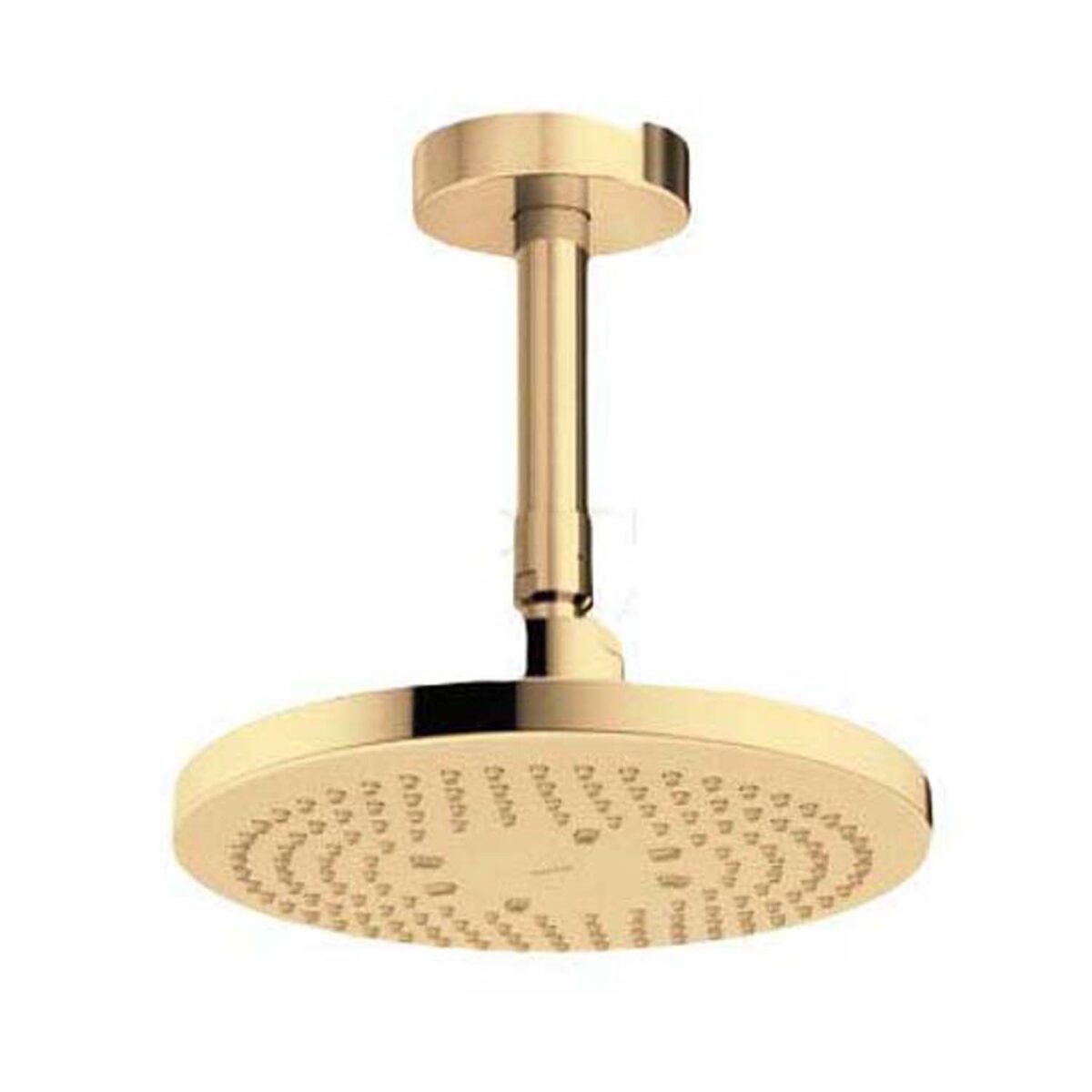 Bát sen âm tường TOTO TBW01003B1A#pfg
