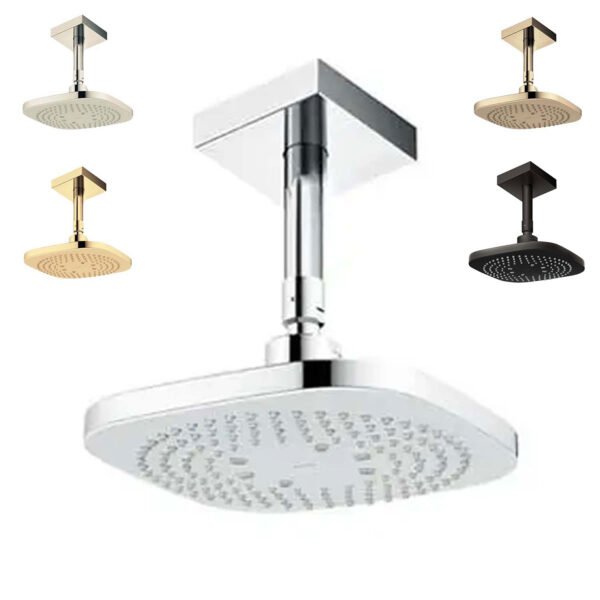 Bát sen âm tường TOTO TBW02003B1A gắn trần
