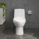 Bồn cầu 1 khối VIGLACERA BL5 BL5V BL5M nắp êm - Ảnh 5