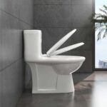 Bồn cầu 1 khối VIGLACERA BL5 BL5V BL5M nắp êm - Ảnh 6