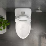 Bồn cầu 1 khối VIGLACERA BL5 BL5V BL5M nắp êm - Ảnh 7