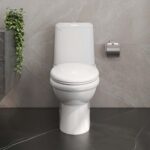 Bồn cầu 2 khối VIGLACERA VI107 nắp êm V116 - Ảnh 5