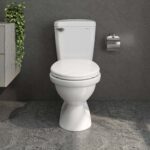 Bồn cầu 2 khối VIGLACERA VI77 nắp êm V116 - Ảnh 5