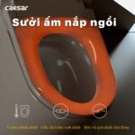 Bồn cầu thông minh CAESAR CA1380H nắp rửa điện tử - Ảnh 11
