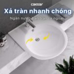 Chậu lavabo bán âm CAESAR LF5302 - Ảnh 8