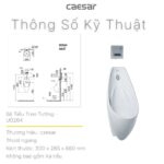 Bồn tiểu nam CAESAR U0264 treo tường - Ảnh 3