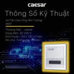 Van xả tiểu CAESAR A637 cảm ứng dùng điện âm tường - Ảnh 2