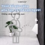 Bồn tiểu nam CAESAR U0221 treo tường - Ảnh 7