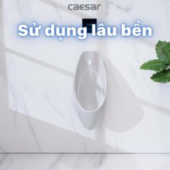 tinh nang Bon tieu nam CAESAR U0264 treo tuong 4