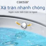 Chậu lavabo âm bàn CAESAR L5113 - Ảnh 9