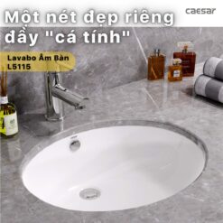 tinh nang Chau lavabo am ban CAESAR L5115 1