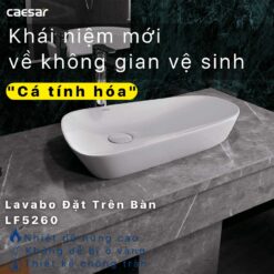 tinh nang Chau lavabo dat ban CAESAR LF5260 1