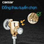 Van xả tiểu CAESAR BF412G nhấn - Ảnh 4
