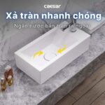 chậu lavabo đặt bàn CAESAR LF5239S treo tường - Ảnh 7