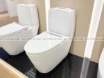 Bồn cầu 2 khối INAX AC-832VN (AC832VN) Aqua Ceramic nắp êm (1)