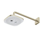 Bát sen âm tường TOTO TBW02004A gắn tường - Ảnh 5