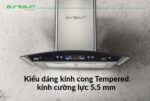 Máy hút mùi EUROSUN EH-70K06S 70cm kính cong - Ảnh 8