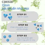 Van xả tiểu CAESAR A649OZ cảm ứng dùng điện - Ảnh 6
