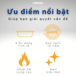 tinh nang chau lavabo dat ban CAESAR L5221 3