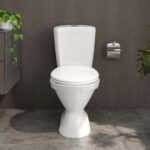 Bồn cầu 2 khối VIGLACERA VI66 nắp thường V1102 - Ảnh 4