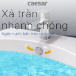 Chậu lavabo treo tường CAESAR L2152 P2445 - Ảnh 7