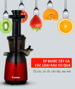 Máy ép chậm RAPIDO RSJ-150M - Ảnh 4