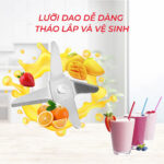 Máy xay sinh tố RAPIDO RB-300M - Ảnh 7