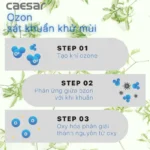 Máy tạo Ozon CAESAR A610OZ sát khuẩn - Ảnh 6