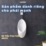 Bồn tiểu nam CAESAR U0211 treo tường - Ảnh 4