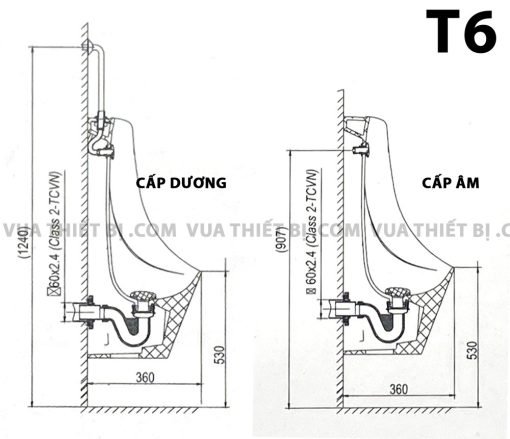 Ban ve ki thuat Bon tieu nam VIGLACERA T6 treo tuong 1