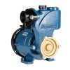 Máy bơm nước đẩy PANASONIC GP 129JXK NV5 (2)