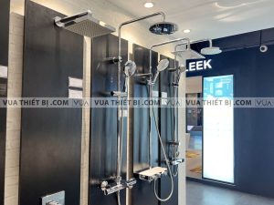 anh thuc te american standard wf 4952 2