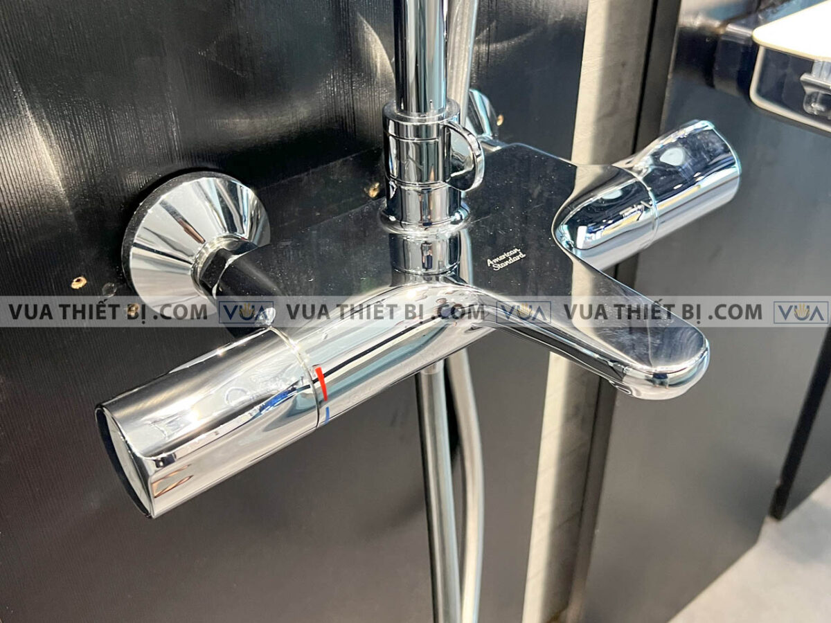 anh thuc te american standard wf 4952 3