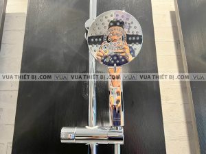 anh thuc te american standard wf 4952 6
