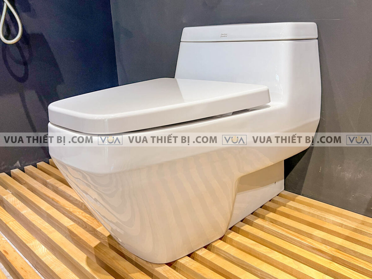 anh thuc te bon cau 1 khoi american standard 2030 wt 1