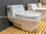 anh thuc te bon cau 1 khoi american standard 2030 wt 2