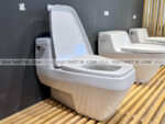 anh thuc te bon cau 1 khoi american standard 2030 wt 3