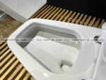 anh thuc te bon cau 1 khoi american standard 2030 wt 5