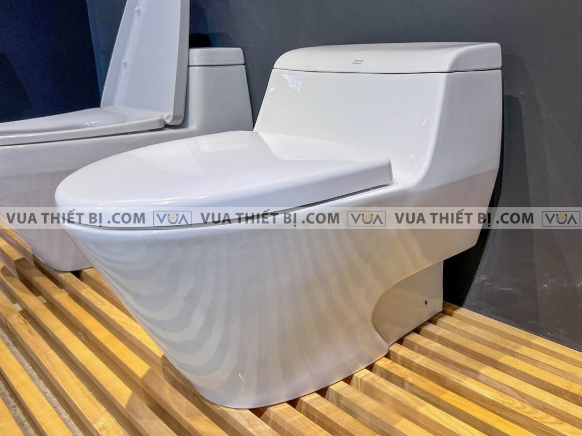 anh thuc te bon cau 1 khoi american standard 2040 wt 1