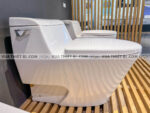 anh thuc te bon cau 1 khoi american standard 2040 wt 2