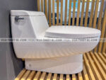 anh thuc te bon cau 1 khoi american standard 2050 wt 2