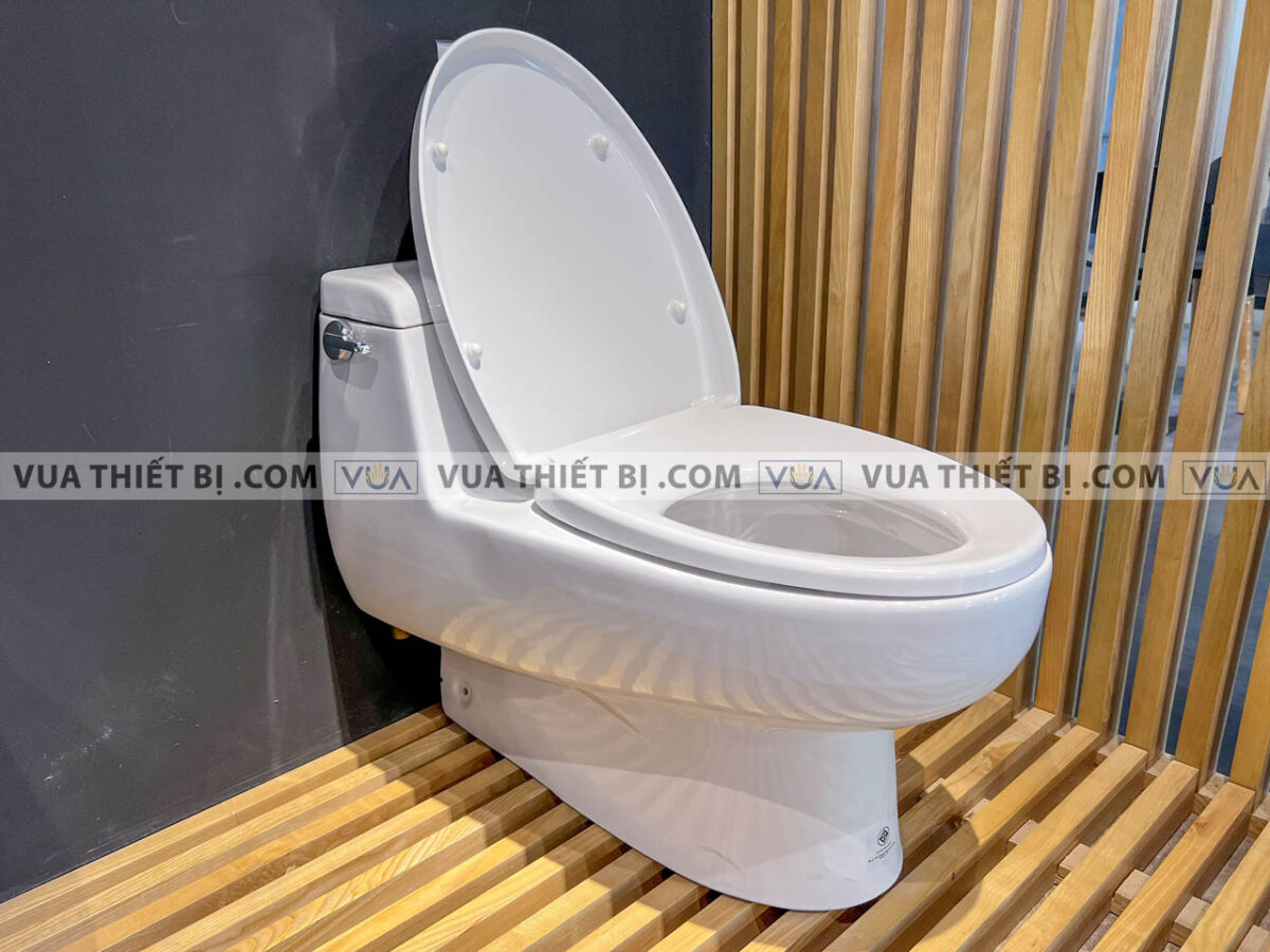 anh thuc te bon cau 1 khoi american standard 2050 wt 3