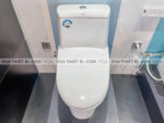 anh thuc te bon cau 1 khoi american standard wp 1830 3