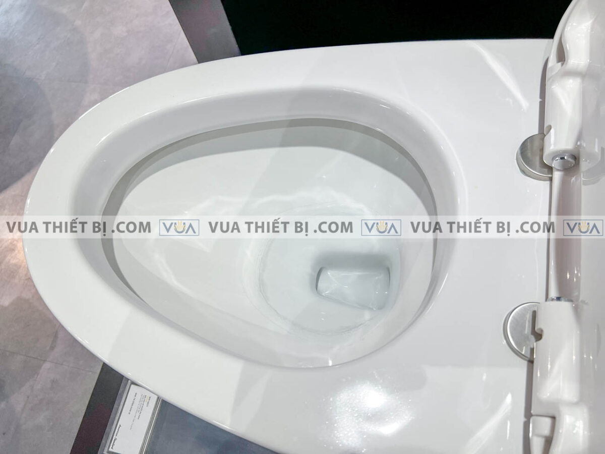 anh thuc te bon cau 1 khoi american standard wp 1830 5