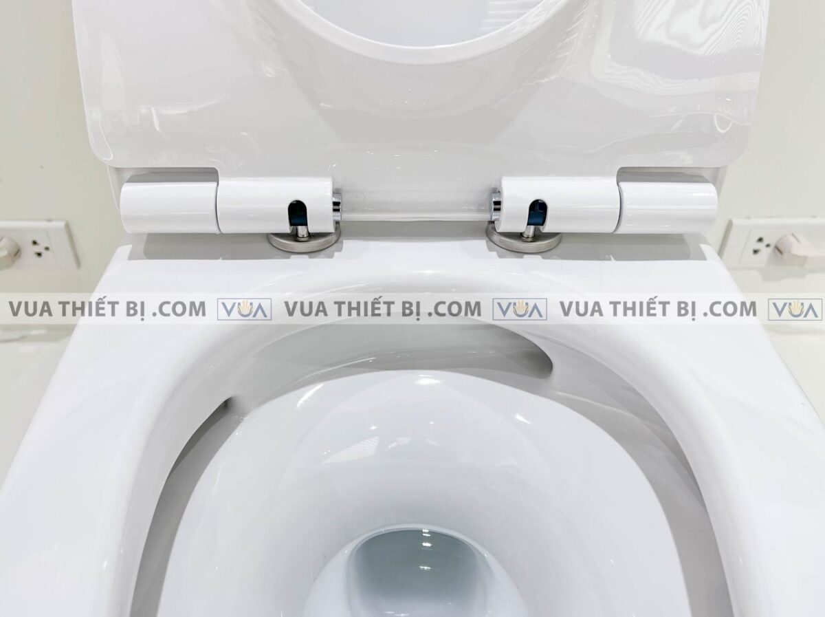 anh thuc te bon cau 1 khoi inax ac 919vrn aqua ceramic nap em 8