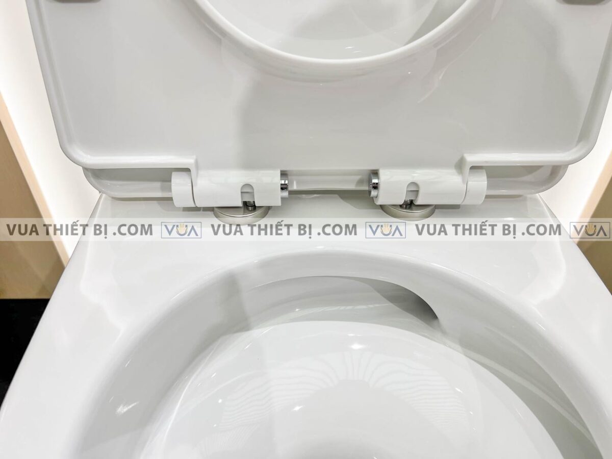 anh thuc te bon cau 1 khoi inax ac 939vn 2 aqua ceramic nap em 5