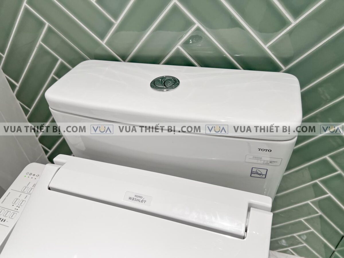 anh thuc te bon cau 1 khoi toto ms885dw16 nap rua dien tu tcf23410aaa 6