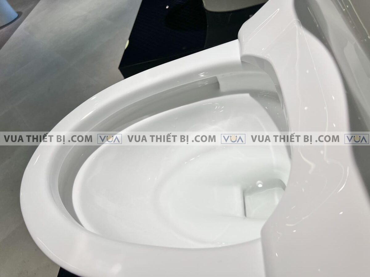 anh thuc te bon cau 1 khoi toto ms887crw15 nap rua dien tu tcf24460aaa 10